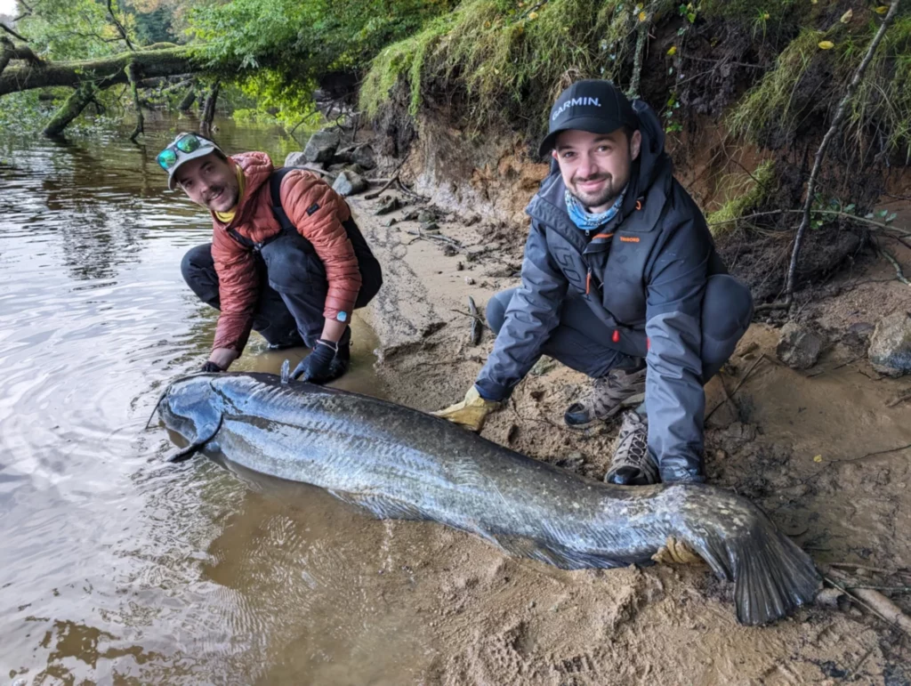 Guide de pêche Éguzon, Tom Méret, Pêche du silure