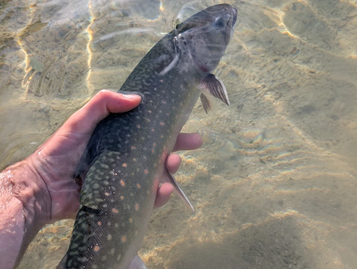 pxl 20251008 152401549